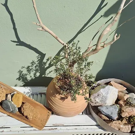 펜션 Leonidas Sun&art *