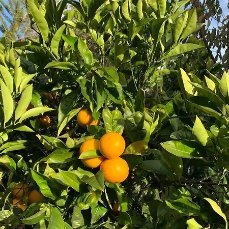 Leonidas Sun&art 펜션 *