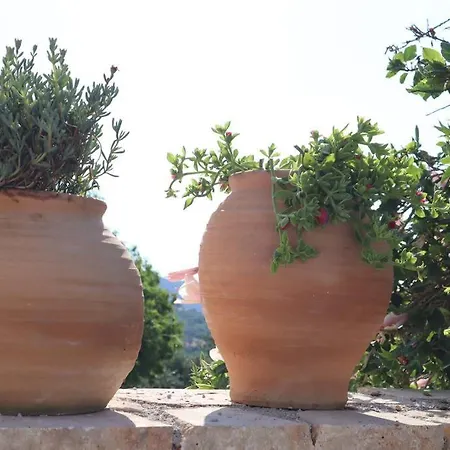 Hébergement de vacances Leonidas Sun&art Stefania