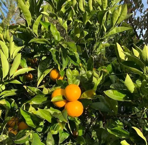 Leonidas Sun&art Σπίτι διακοπών *