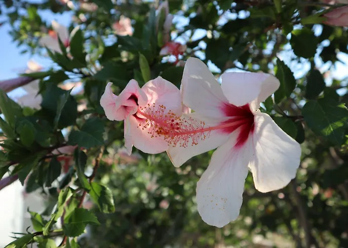 Leonidas Sun&art Σπίτι διακοπών *